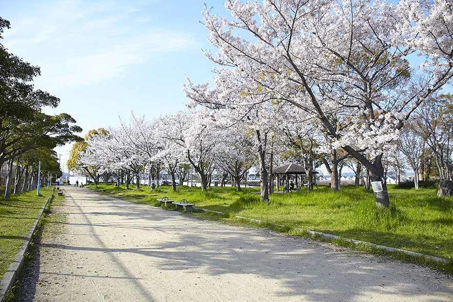 中島公園（約850m）